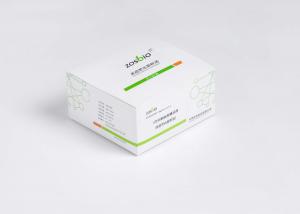 Best B Type Natriuretic Peptide BNP Test Kit 5-5000pg/ML For Nephrology wholesale