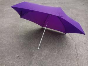 Best five section foldable umbrellas wholesale