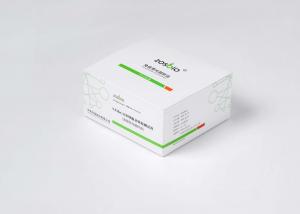 Best CE 15 Minutes NT-proBNP Test Whole Blood NT-proBNP Detection Reagent wholesale