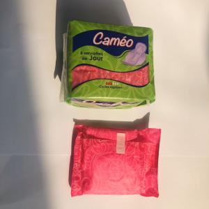 Best Colored disposable sanitary pads Sanitary Pads For Normal Days Or Menstrual wholesale