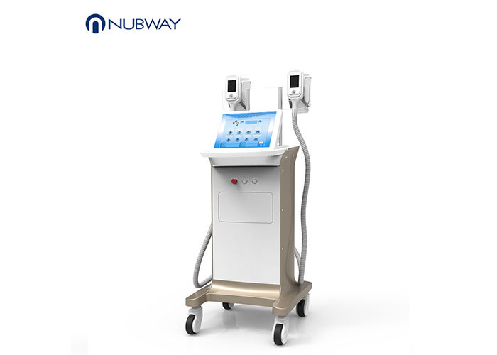 Cheap Painless Freeze Fat Burning Machine , Professional Cellulite Treatment Machine for sale