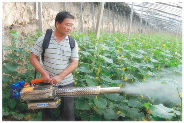 Cheap Hand Held Electric Fogging Machine TW100 1-1.4 L / H Gasoline Consumption for sale