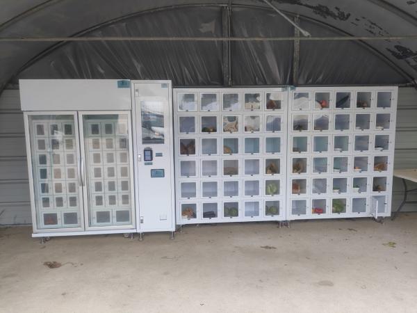 Cheap Max.40 Merchandise Variety Cupcake Locker Vending Machine with 1 Controller and 8 Machines High Capacity for sale
