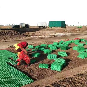 Best Green Parking and Garden Honeycomb Gravel Grass Paver Manufactured from HDPE Plastic wholesale