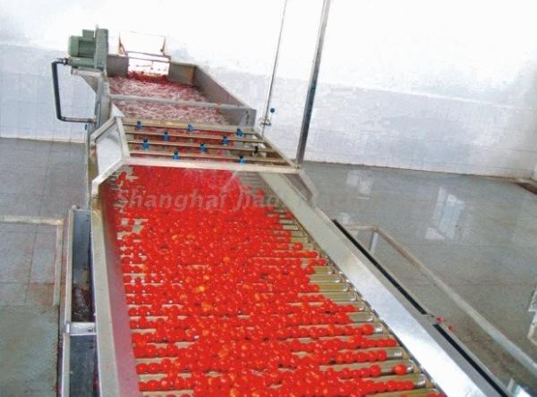 Cheap Fresh Tomato Paste Processing Line , High Productivity Tomato Paste Processing Machine for sale