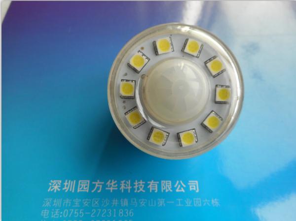 Cheap PIR Intelligent Human Body Induction Lamp New Pattern Ball Bubble Sensor for sale