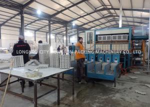 China Pulp Molding Process Paper Egg Tray Machine Capacity 6000PCS / H on sale