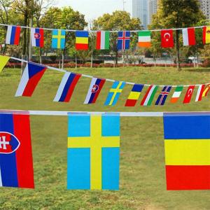 Best Digital Printing String Flag Colorful Bunting Material Flags wholesale