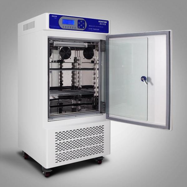 Cheap Constant Temperature And Humidity Environment Climate Test Chamber With Illumination 800L for sale