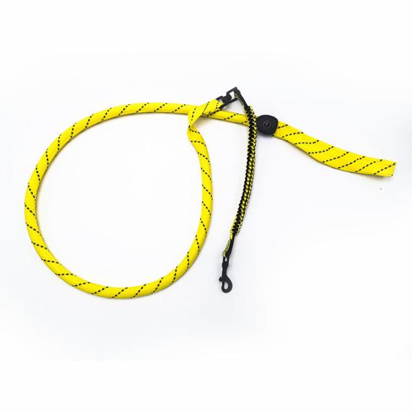 Cheap Polyester Webbing LED Light Up Dog Leash Durable 4 Colors Option Customized for sale