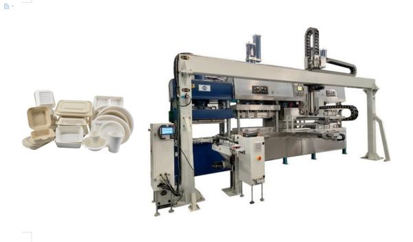 Cheap Fully Automatic Pulp Tableware Production Line With Horizontal Walking Robot Arm for sale