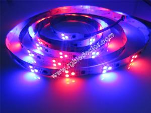 China 12v 60led ws2811 led pixel strip on sale