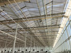 Best High Yield Tomato Plant Greenhouse PC Sheet Material Hydroponic Distance 1.6m wholesale