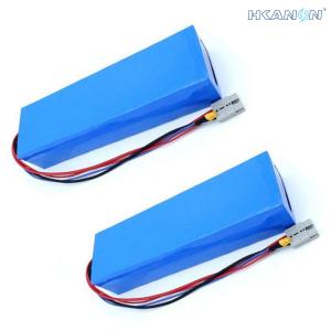 Best Rechargeable Lithium Ion Electric Bicycle Lithium Battery Phylion Akku Xh25910j With BMS wholesale