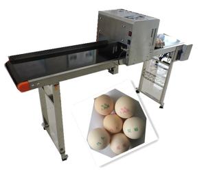 Best 1 - 4 Printing Lines Inkjet Batch Coding Machine For Farm Preserved Eggs wholesale