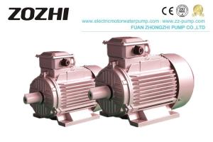 China Electric Three Phase Asynchronous Motor 1440rpm Y2 Series 2 Pole Air Cooled on sale
