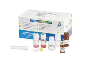 Best 96T/ Elastase Assay Kit BRED-006 wholesale