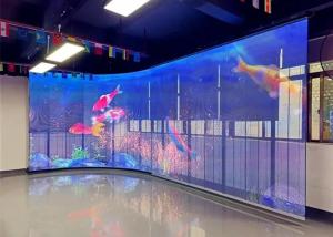 China Waterproof IP43 Transparent Digital Display 6.2kg Cabinet Weight for Versatile Advertising Solutions on sale