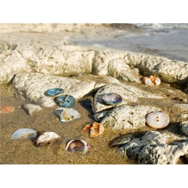 Agoya Shell Buttons | Bulk Clothing Button