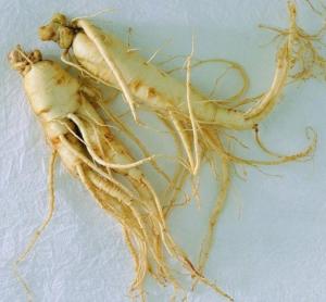 100% panax ginseng root extract ginsenosides 20% HPLC powder