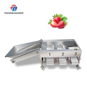 Best Automatic Citrus Apple Grading Machine Potato Sorting Equipment Food Processor wholesale