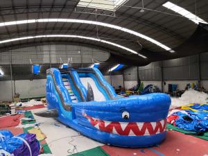 Blue Shark Giant Inflatable Slide UV - Resistance Digital Printing