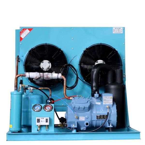 High-Value Air-Cooled Automatic Scroll Compressor Low Price Condensing Unit Motor for All-Condition Local Cold Storage Community