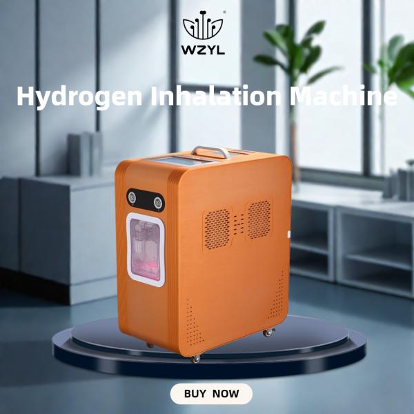 Cheap Large Flow Hydrogen-absorbing Machine Anti-inflammatory 3000ml WEIZI Frequency 50Hz Flow 2000ML H2 1000ML O2 for sale