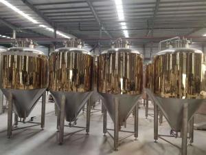 Best 500L Customized Conical Fermentation Tank For Microbrewery / Brewpub wholesale