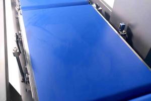100mm Screw Dynamic Checkweighers With In Line Combined Metal Detector