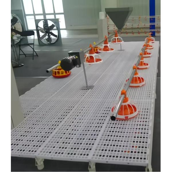 PP Plastic Slatted Flooring for Poultry Broiler Chicken Farm