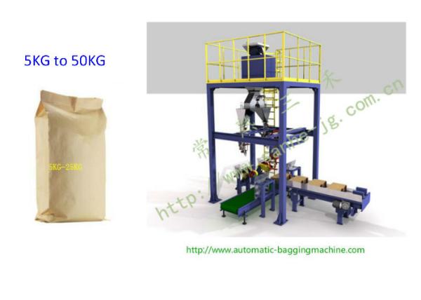 Cheap DCS-25V Multi Scales Valve Bag Automatic Packing & Palletizing Machine Line for sale