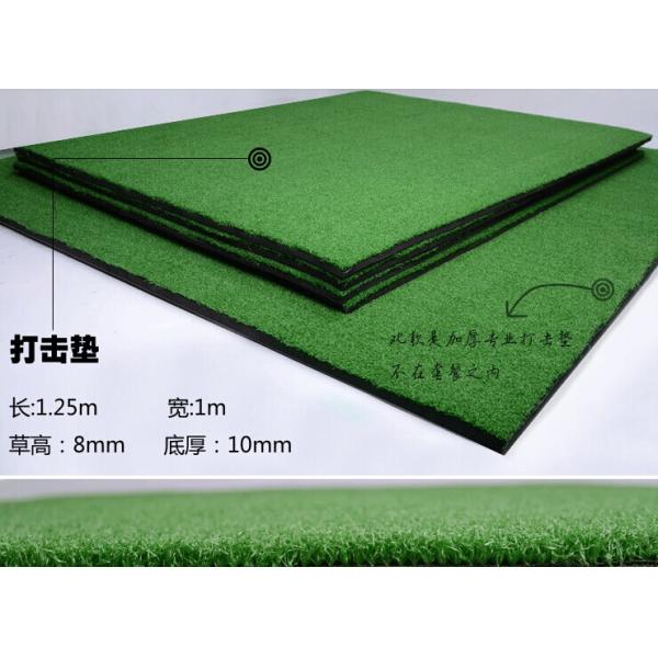Golf practice swing practice net