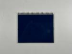 Negative 12 O' CLOCK Transmissive Monochrome Display PIN Temperature Control