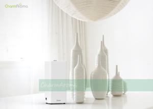 Programming Flexibility Small Coverage Fragrance Scent Device With 150ml Capacity For Train Stations