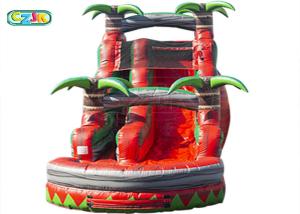 China Huge Outdoor Inflatable Bouncy Water Slide / Bouncy Pool Slides CE Certification on sale