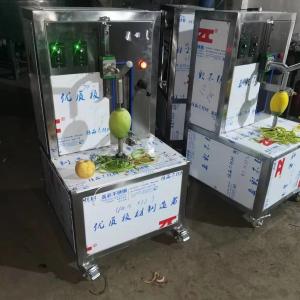 China industrial mango process line automatic mango pulp machine peeling and pulping machine on sale