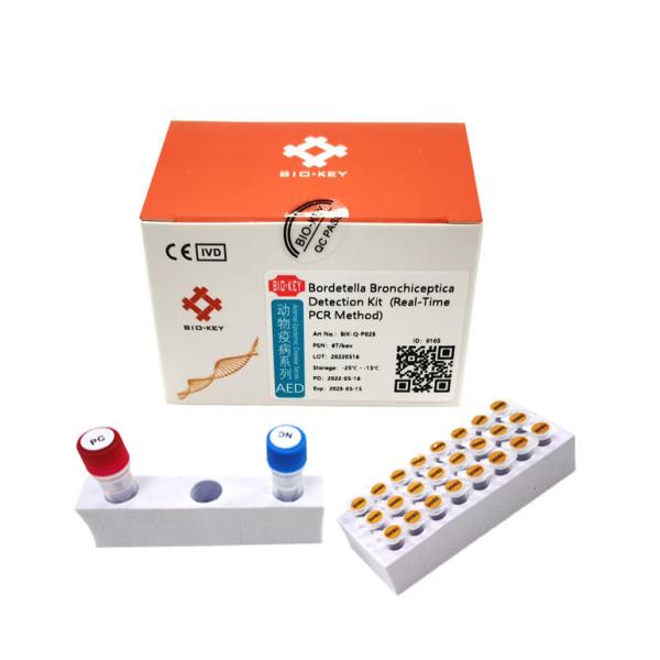 Cheap Bb Feline Cat Test Kit Bordetella Bronchiseptica RT QPCR Taqman Probe Detection Kit for sale