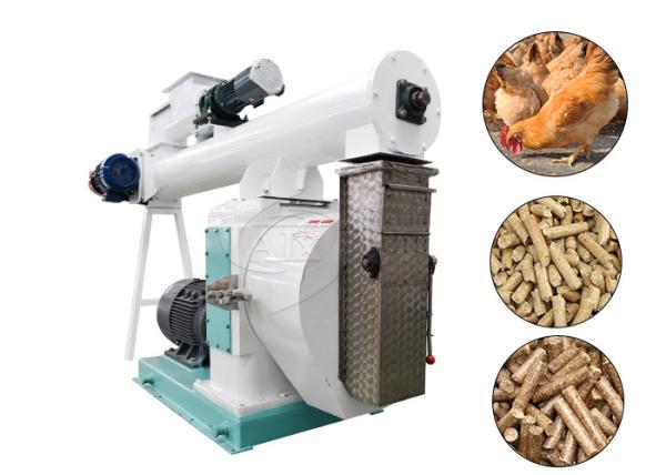 Cheap Automatic Feed Pellet Mill Machine For Camel Feed Pellet Making Machine for sale