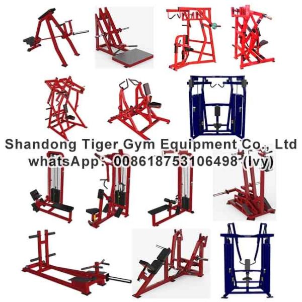 Cheap Gym Fitness Equipment Iso-lateral High Row / bent over row / stand Iso-row / Incline row / Low Row / Seated Row machine for sale