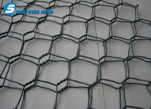 Best Hexagonal Wire Mesh/Chicken Wire Mesh/Hexagonal Wire Netting(Factory) wholesale