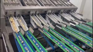 12 Lanes 12 Outlets Cashew Sorting Machine 1000kgs/Hour with 360° Rotating Scanning and Deep Learning Technology