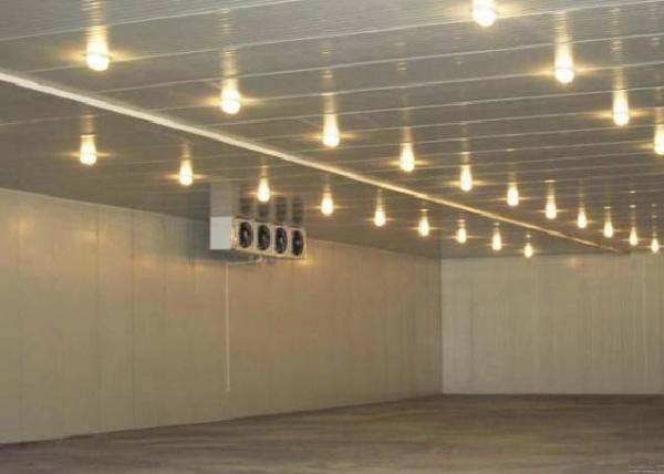 Cheap Processing Station Modular Cold Storage Room With  Compressor for sale