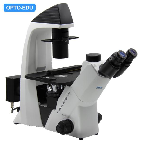 Cheap Mechanical Stage Inverted Light Microscope / Digital Inverted Microscope for sale