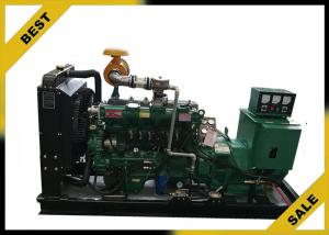Natural / Biogas / Gas Generator Set With 50 Kw Ricardo Series Engine