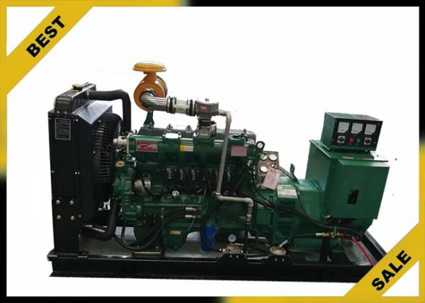 Cheap Natural / Biogas / Gas Generator Set With 50 Kw Ricardo Series Engine for sale