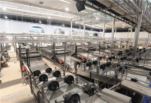 Cheap Aseptic Bag Fresh Tomato Paste Production Line 250t/d for sale