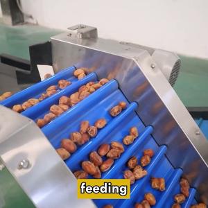 Best Innovation Redefined Date Sorting Machine Standarded With Advanced Technology wholesale