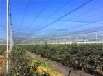 Farm Solution Nets, Crop Solution Netting, 30Mesh, 40Mesh, 50Mesh, Anti Insect