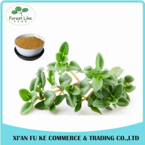 Cheap New Design Spices Product Antibacterial Effect Dry Thyme Leaf Extract for sale